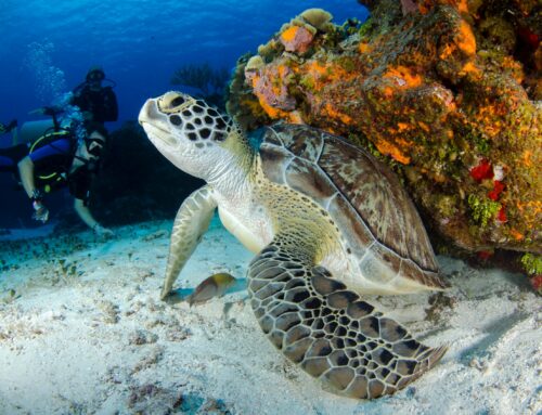 RAIATEA