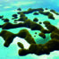 Palau